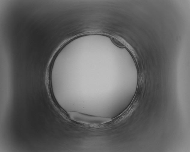 X0000100231005200806201440