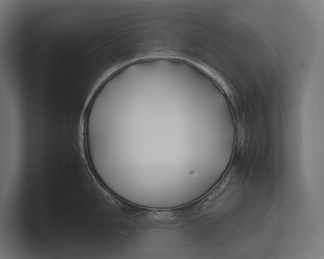 X0000100231006200806201440