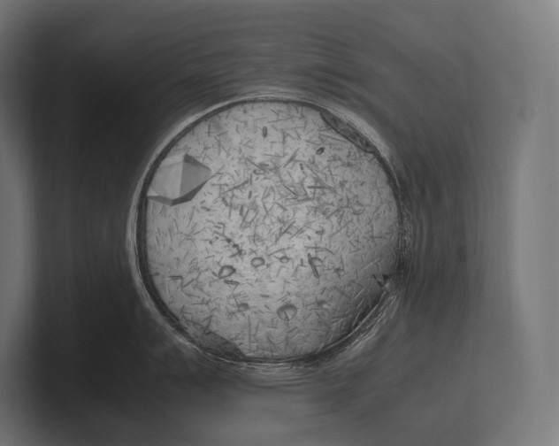 X0000100231007200806201440