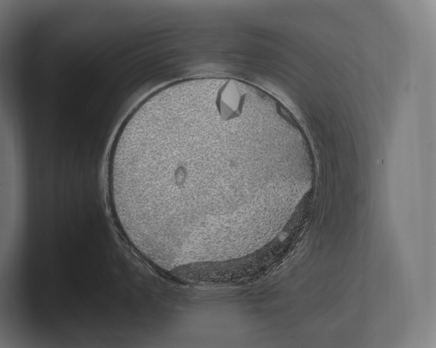 X0000100231008200806201440