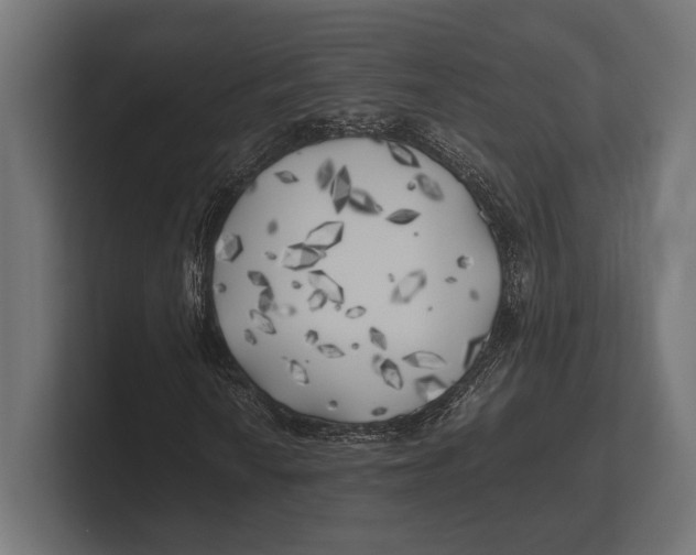 X0000100231010200806201439