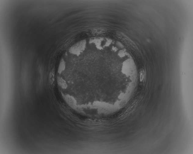 X0000100231011200806201439