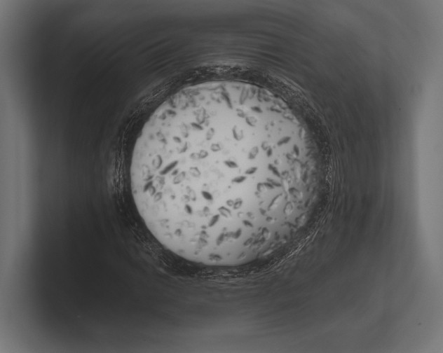 X0000100231014200806201439