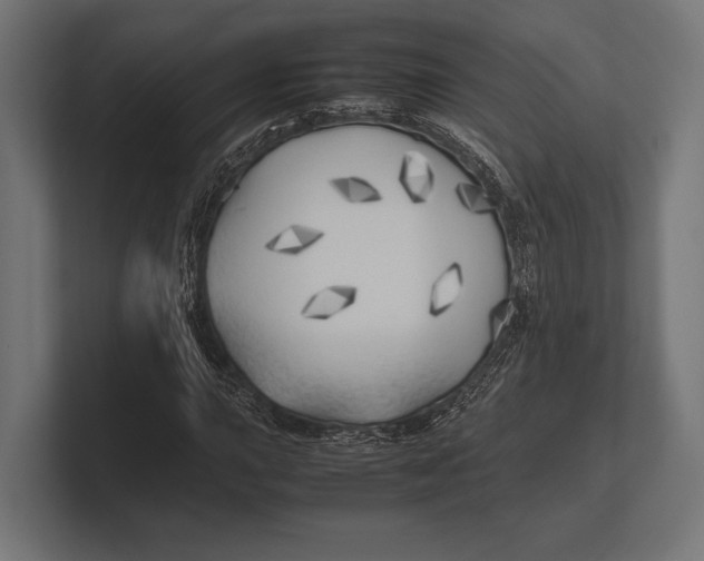 X0000100231015200806201439