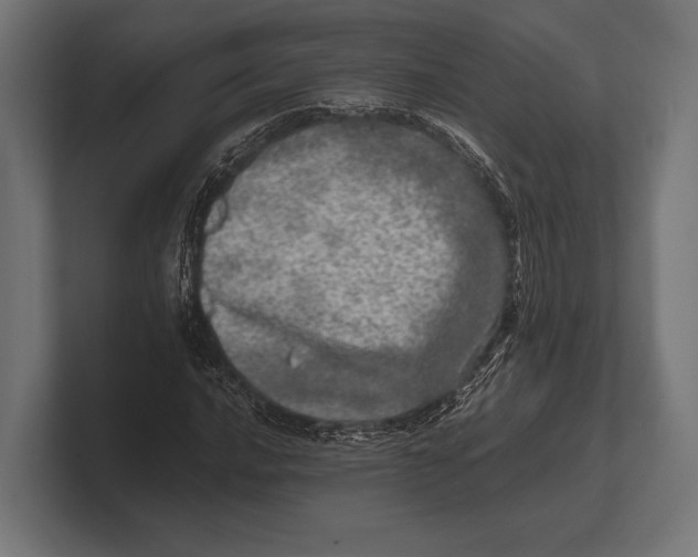 X0000100231016200806201439