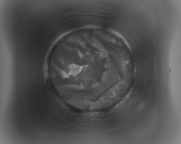 X0000100231019200806201439