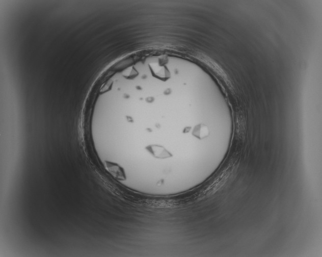 X0000100231020200806201439