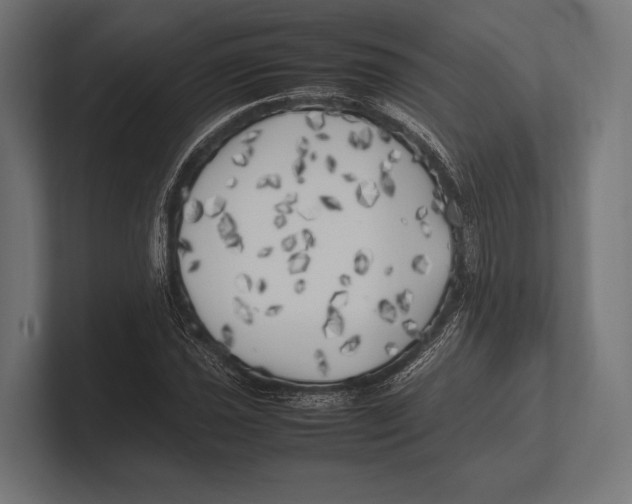 X0000100231021200806201439