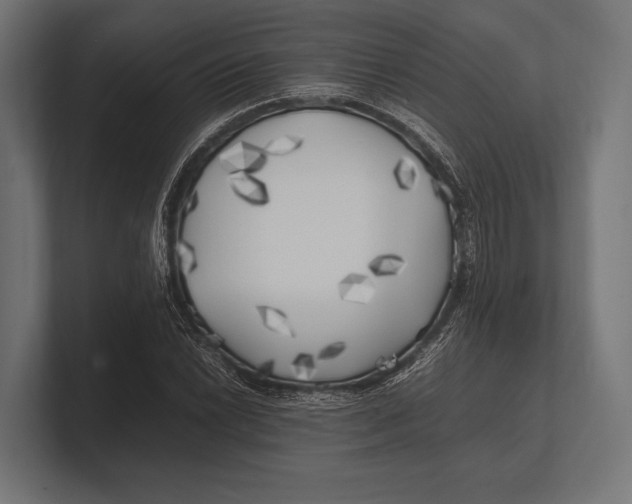 X0000100231022200806201439