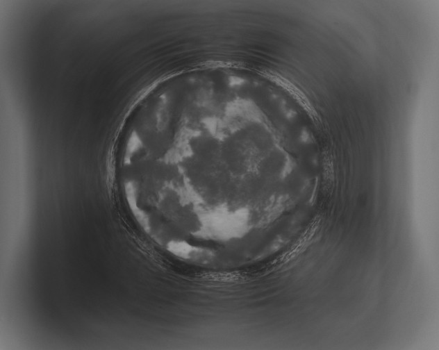 X0000100231023200806201439