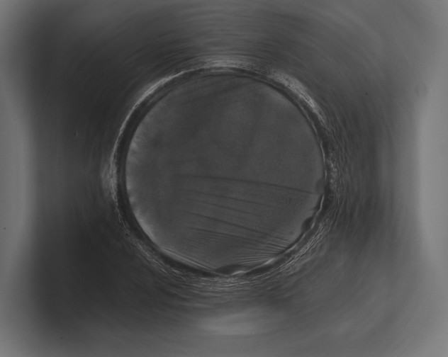 X0000100231024200806201439