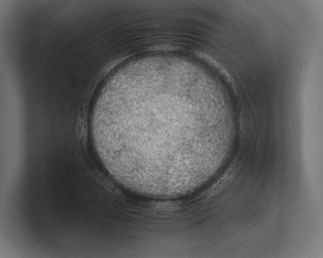 X0000100231025200806201439