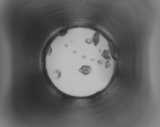 X0000100231026200806201439