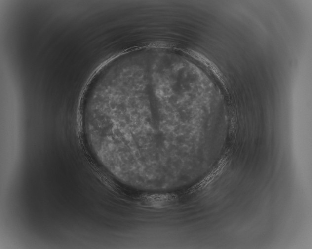 X0000100231027200806201439