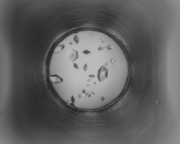 X0000100231029200806201439