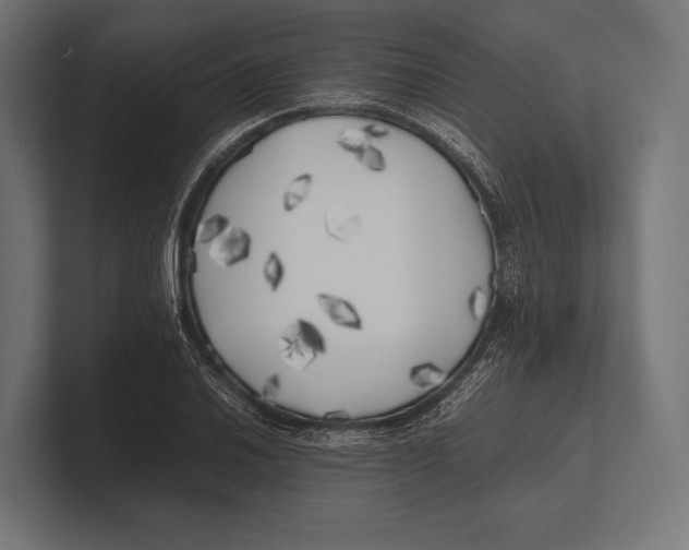 X0000100231030200806201439