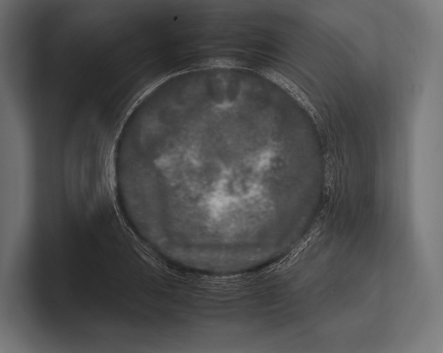 X0000100231031200806201439