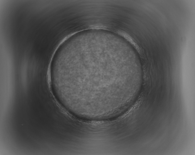 X0000100231032200806201439