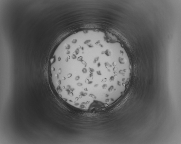 X0000100231033200806201439