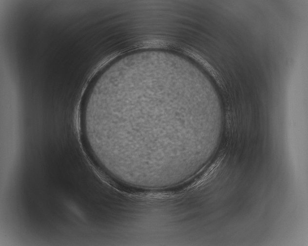 X0000100231034200806201439