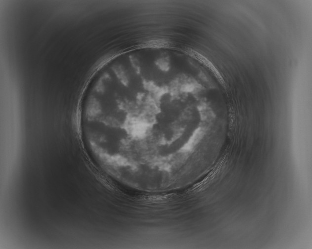 X0000100231035200806201439