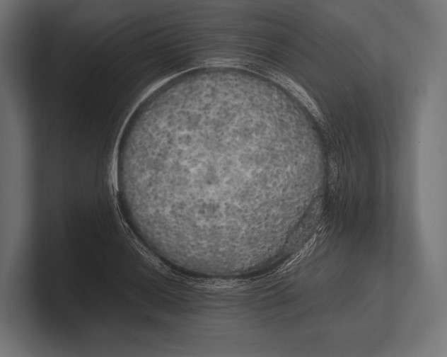 X0000100231036200806201439