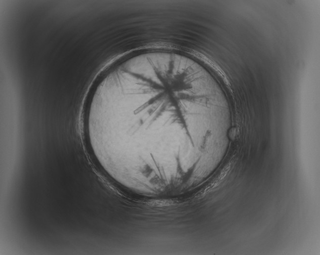 X0000100231037200806201439