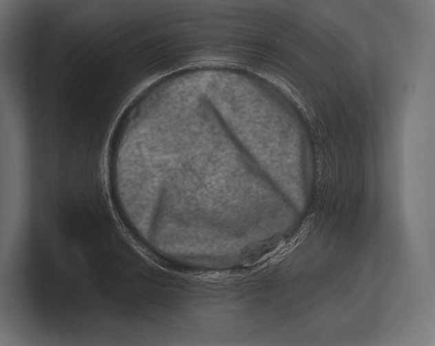 X0000100231038200806201439