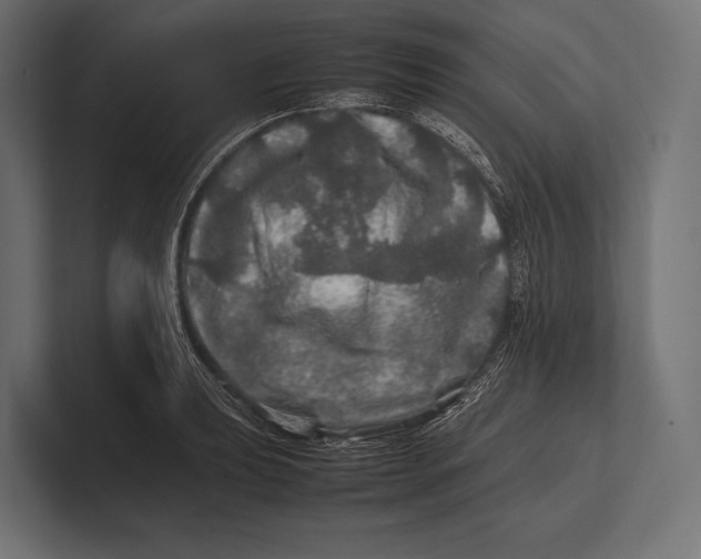 X0000100231039200806201439