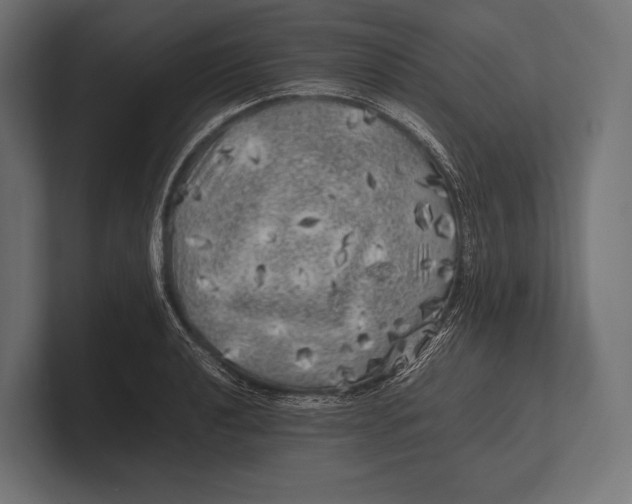 X0000100231040200806201439