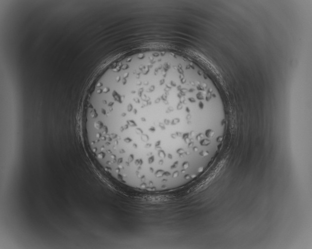 X0000100231041200806201439