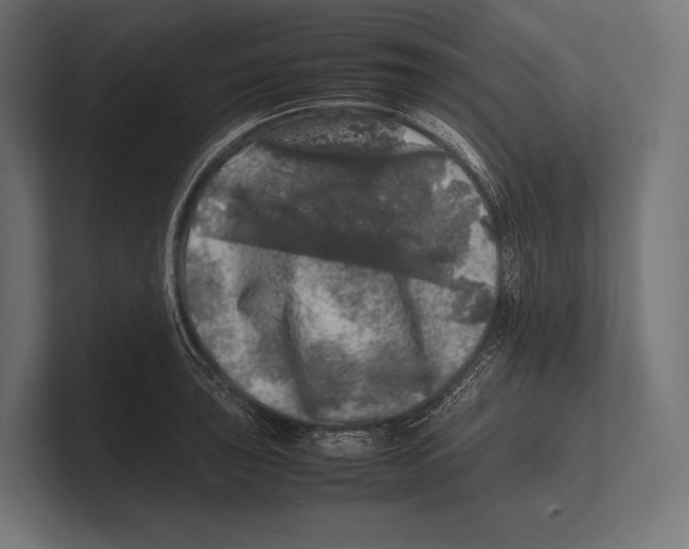 X0000100231043200806201440