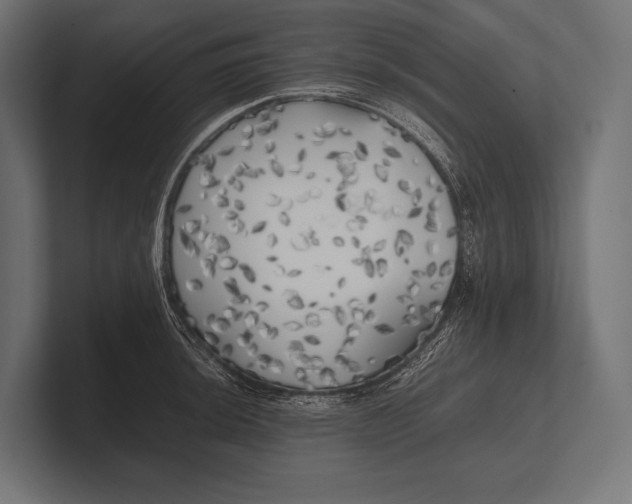 X0000100231044200806201440