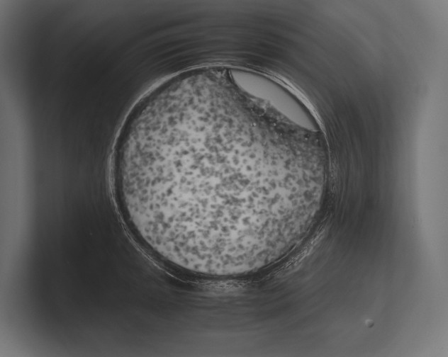 X0000100231045200806201440