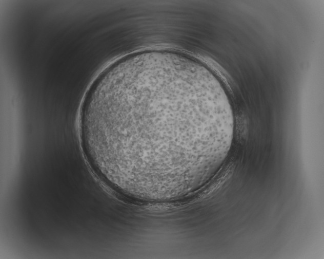 X0000100231046200806201440