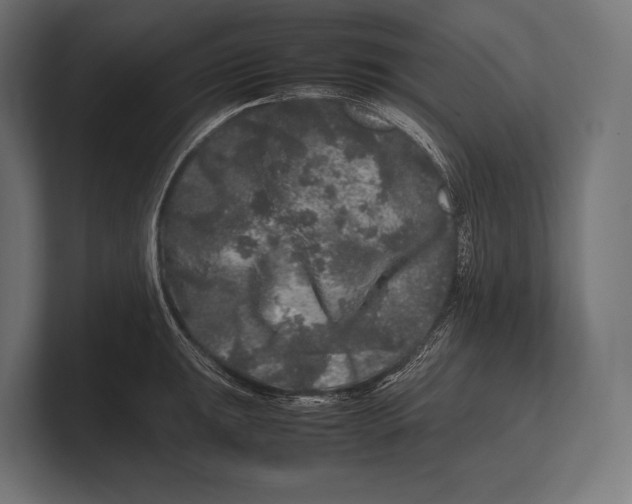 X0000100231047200806201440