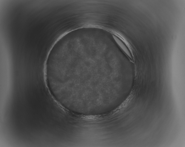 X0000100231048200806201440