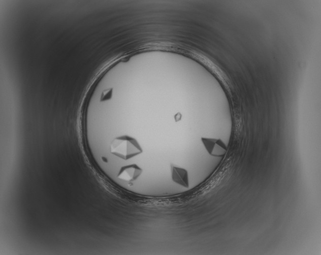 X0000100231050200806201440