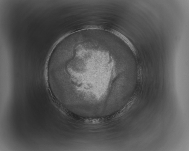 X0000100231051200806201440