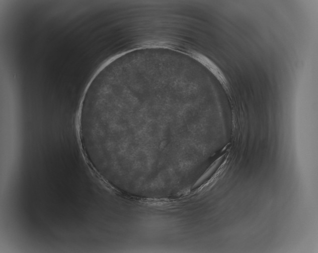 X0000100231052200806201440