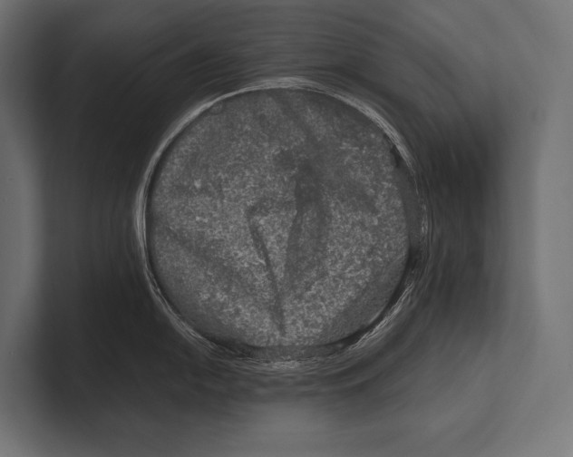 X0000100231054200806201440