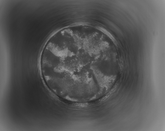 X0000100231055200806201440