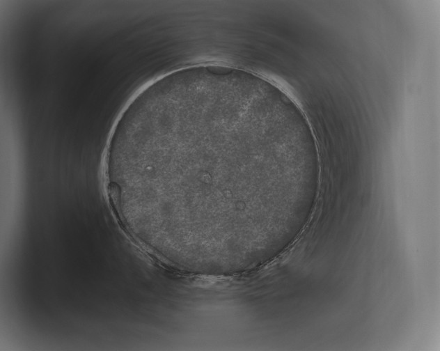 X0000100231056200806201440