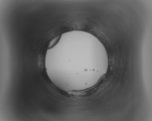 X0000100231058200806201439