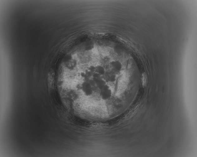 X0000100231059200806201439