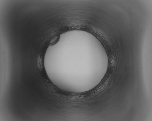 X0000100231060200806201439