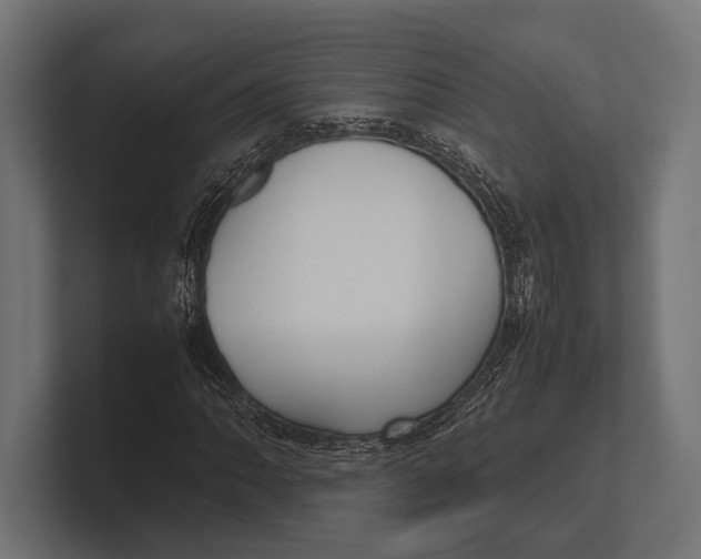 X0000100231062200806201439