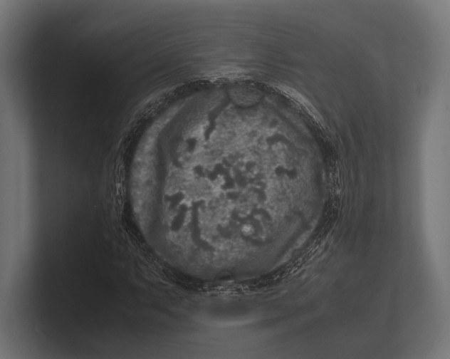 X0000100231063200806201439