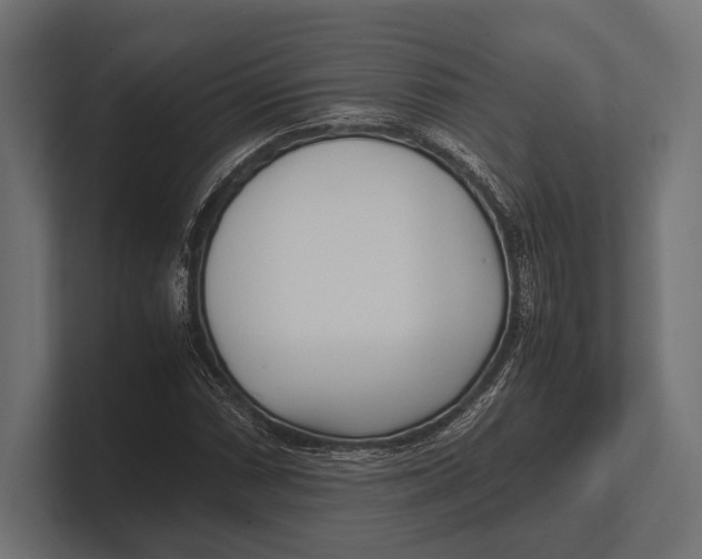 X0000100231066200806201439