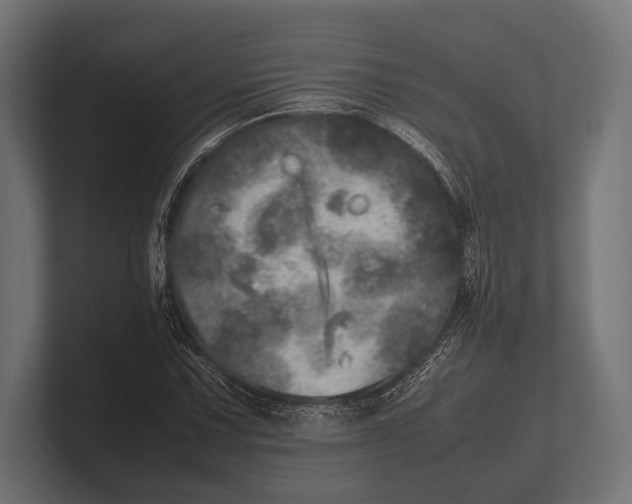 X0000100231067200806201439